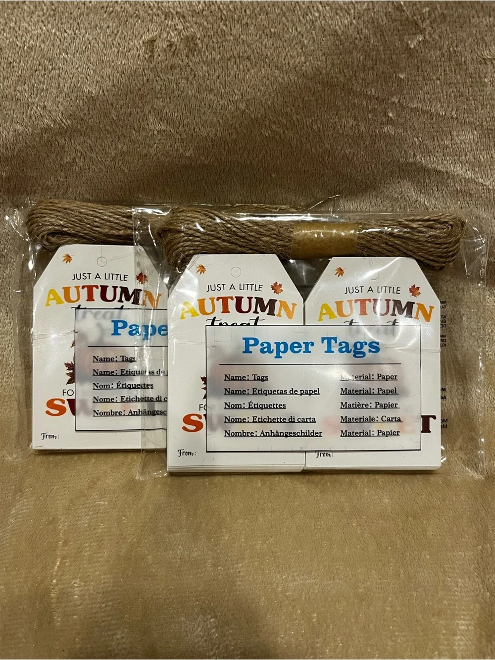 Autumn Treat Gift Tags - 100 Pack Pumpkin Fall Party Favors (3.3x2.1 in)